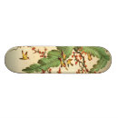 Search for asian skateboards Illustration