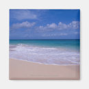 Recherche de ressacs magnets Tropical