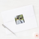 Search for bird scrapbook stickers Wildlife