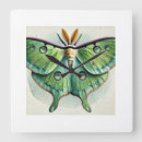 Search for luna moth art Wildlife