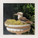 Recherche de martin pêcheur puzzles Kookaburra