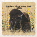 Search for antelope kitchen dining Landscape