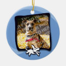 Search for foster care ornaments Rescue
