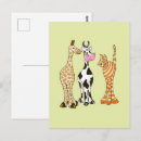 Search for cow drawing postcards Animals