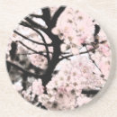 Search for cherry barware Flora