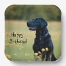 Search for black labrador dog plates Canine
