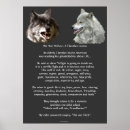Search for two wolves posters Cherokee wisdom