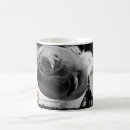 Search for manatees mugs Animals