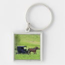 Recherche de amish accessoires Rural