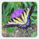Search for swallowtail stickers Yellow