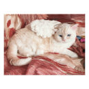 Recherche de ange de chat art Chaton