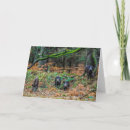 Search for boars cards Wildlife