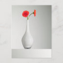 Search for orange gerbera postcards Bouquet