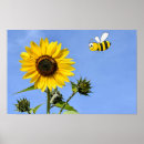 Search for pollination art Nature