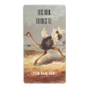 Search for ostrich labels Illustration