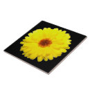 Recherche de fluorescent carreaux Jaune