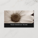 Recherche de fleurs sépia cartes visite Fleuriste