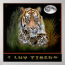 Recherche de tigre drôle posters Animaux domestiques