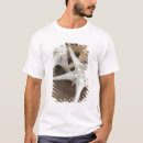 Search for starfish tshirts Shell