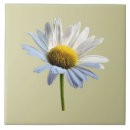 Recherche de ombre carreaux Été