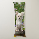 Recherche de jouet coussins Chiot
