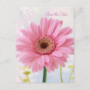 Recherche de gerbera rose invitations Nuptiale