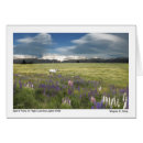 Recherche de loup indien cartes postales Américain