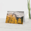 Search for silvertone cards Fall
