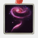 Search for digital ornaments Rose