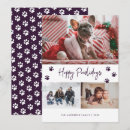 Search for purple paws cards Cute