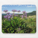 Search for cloudscape mousepads Africa