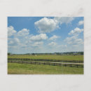 Search for lexington kentucky postcards Farm