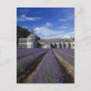 Recherche de vaucluse cartes postales Europe