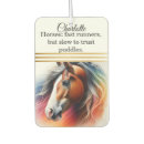 Search for horse car air fresheners Nature