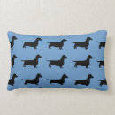 Recherche de teckels coussins Chiot