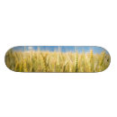Recherche de plan rapproché skateboards Jour