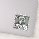 Search for warning dog stickers Animal