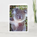 Recherche de koala birthday cards Joey