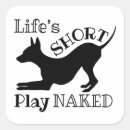 Search for shorts stickers Pet