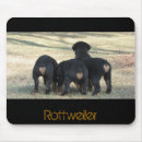 Search for rottweilers mousepads Puppies