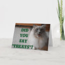 Recherche de festin de chat Drôle