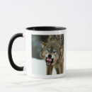 Search for furious mugs Anger