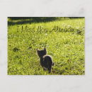 Search for miss you postcards I love you