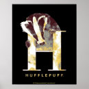 Search for hufflepuff posters Magic