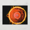 Search for three objects postcards Microscopic
