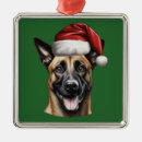 Recherche de malinois ornements Animal