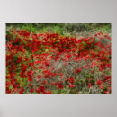 Recherche de fleur abstraite art Abstract