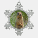 Search for furry animal ornaments Nature