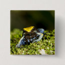 Recherche de vertebre badges Faune