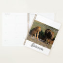 Search for botswana office supplies Wild